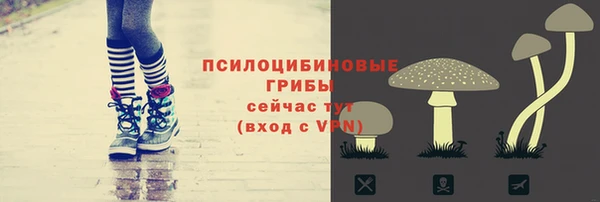 ГАЛЛЮЦИНОГЕННЫЕ ГРИБЫ Верхнеуральск